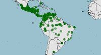 Distribución de la iguana verde