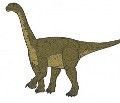 camarasaurus