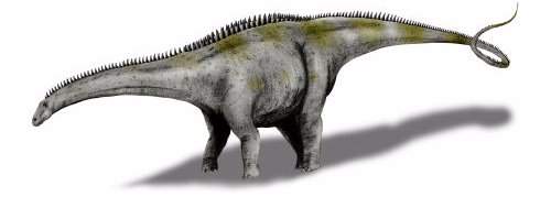 Apatosaurus, gigante dinosaurio saurópodo