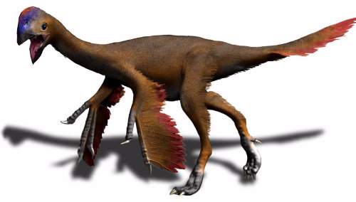 Oviraptor, especie O. philoceratops