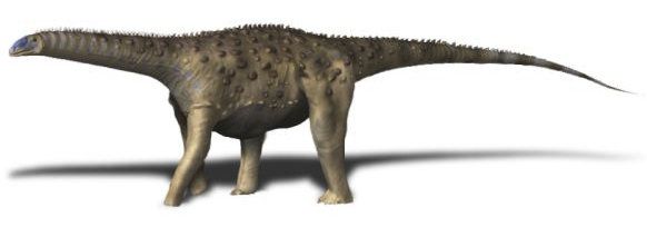 Saltasaurus, Saltasaurus loricatus
