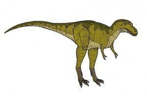 Albertosaurus, dinosaurios terópodos