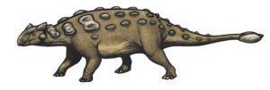 Ankylosaurus, dinosaurios con escudos óseos en su cuerpo.
