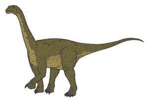 Camarasaurus, dinosaurios saurópodos