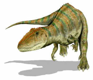 Carcharodontosaurus, dinosaurios terópodos carnívoros