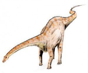 diplodocus, dinosaurios herbívoros gigantes.