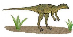 Lesothosaurus, dinosaurios pequeños