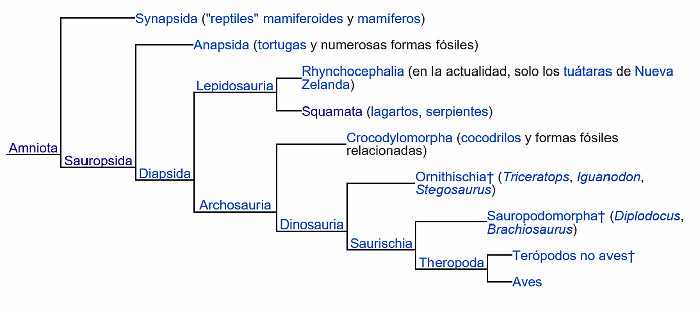 cladograma-origen-reptiles