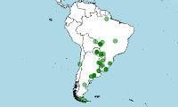 mapa-distribucion-rhea-americana