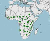 Hábitat, distribución del jabirú africano, Ephippiorhynchus senegalensis