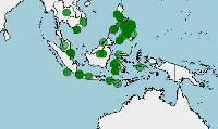 Distribución de Cuora amboinensis, tortuga de caja malaya