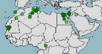 Distribución geográfica de Trapelus mutabilis, agama del desierto