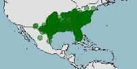 distribución de serpiente verde áspera, Opheodrys aestivus