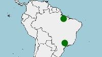 Distribución de acanthoscurria geniculata, tarántula de rodillas blanca