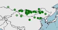 Distribución, conservación de Cricetulus barabensis, hámster chino