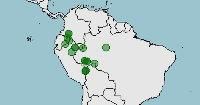 Distribución de Corydoras trilineatus