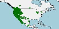 Conservación, distribución de Callipepla californica
