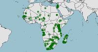 Distribución, conservación de Oena capensis