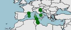 Distribucion de Antedon mediterranea, clavelina