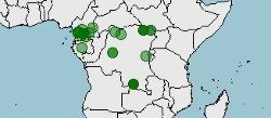 Distribución de Potamogale velox, musaraña nutria gigante