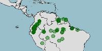 Distribución de Anilius scytale, serpiente cilíndrica sudamericana