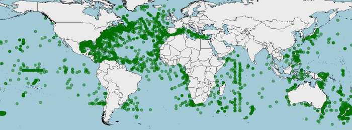 Distribución de Chauliodus sloani, pez víbora de Sloane