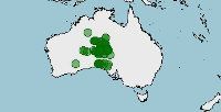 Distribución de Notoryctes typhlops, topo marsupial australiano