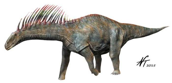 Amargasaurus cazaui 