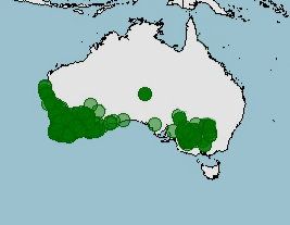 Distribución de Anilios australis