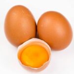 Huevo de las aves
