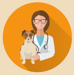 Problemas neurológicos en perros y sus diferentes formas clínicas