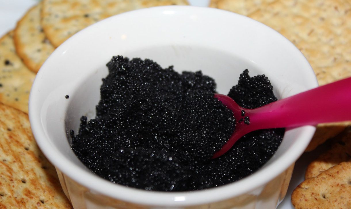 Caviar, huevas del esturión