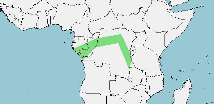 Distribución del cocodrilo africano de hocico delgado