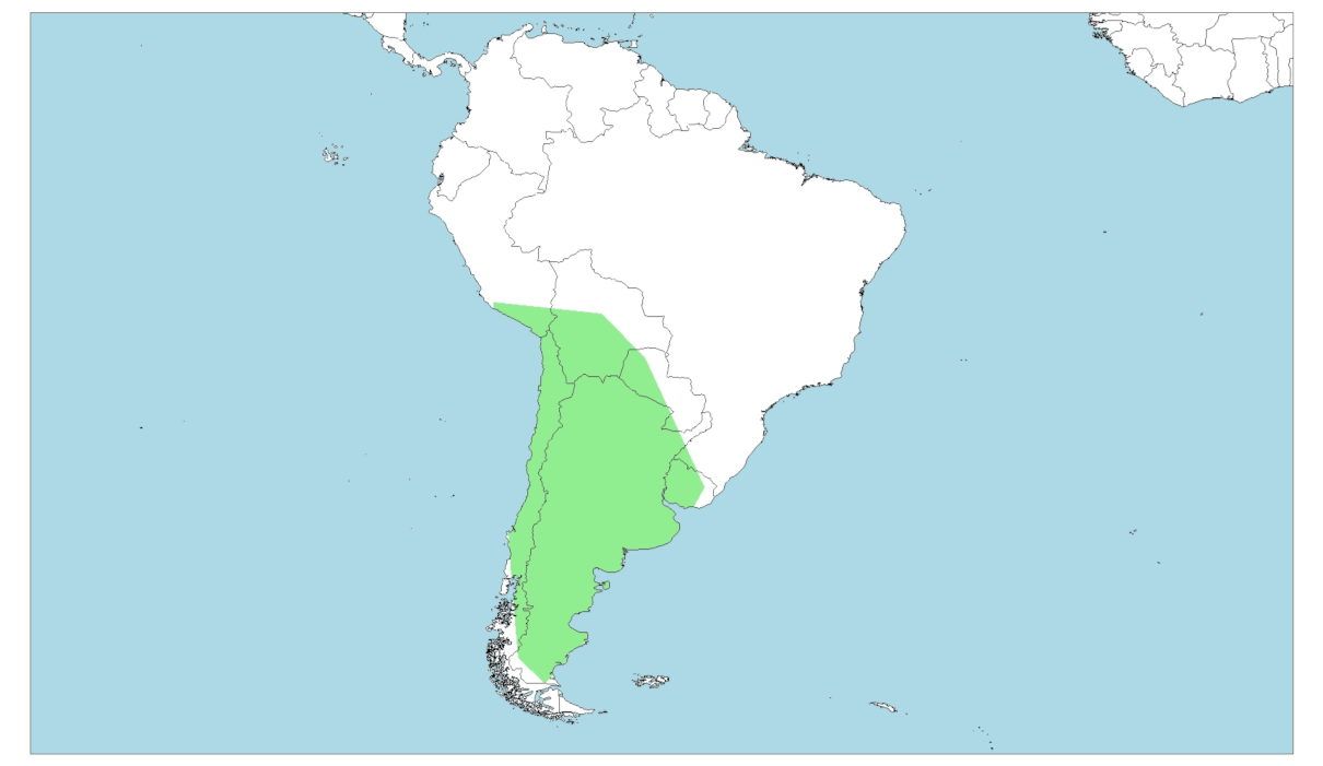 Distribución del zorro gris patagónico, chilla