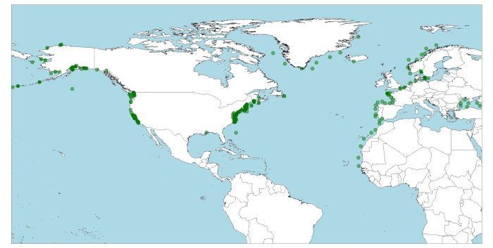Distribución de la marsopa, Phocoena phocoena