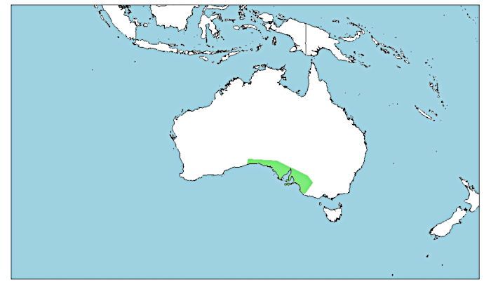 Distribución del wombat de nariz peluda del sur, Lasiorhinus latifrons