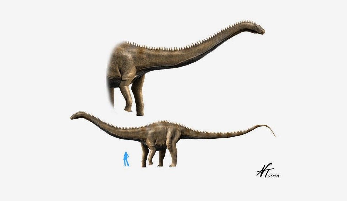 Dinosaurios de mayor tamaño del mundo