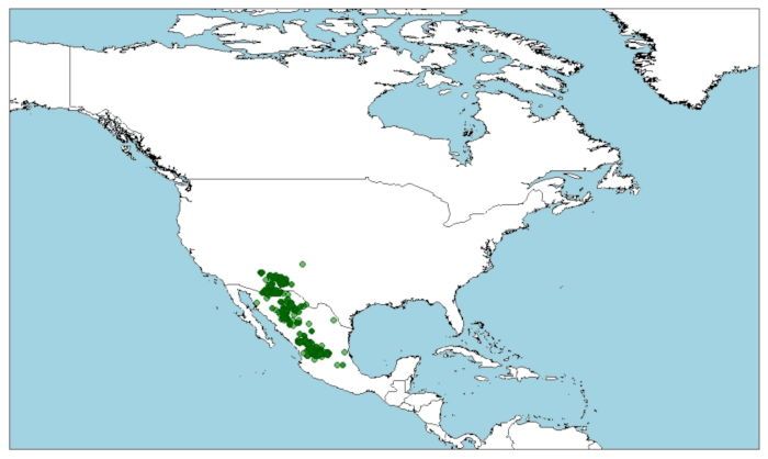 Distribución de la rana chiricahuensis, Lithobates chiricahuensis