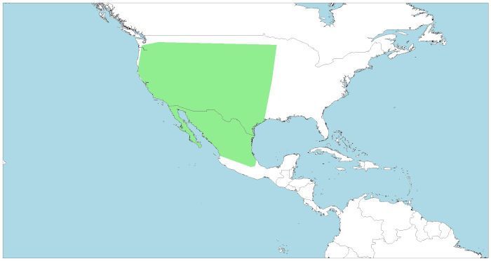 Distribución de la liebre de California, Lepus californicus