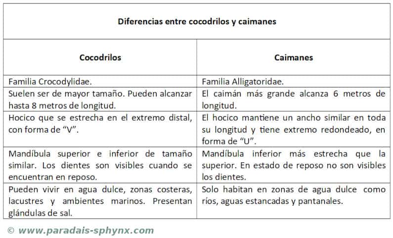 Cuadro comparativo, esquema o resumen con las diferencias entre cocodrilos y caimanes