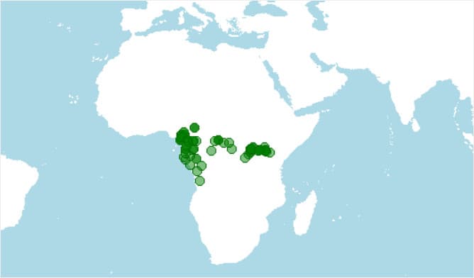 distribución, dónde vive la víbora arbórea africana, Atheris squamigera