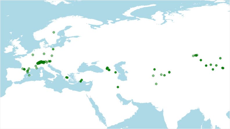 Distribución geográfica del gorrión alpino, Montifringilla nivalis