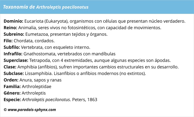 Taxonomía, clasificación de Arthroleptis poecilonotus