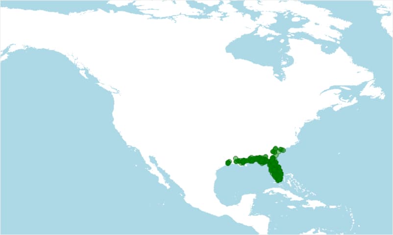 Distribución dónde vive la rana cerdo americana, Lithobates grylio