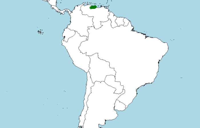 Dónde vive, distribución de la Rana arlequín de Rancho Grande, Atelopus cruciger