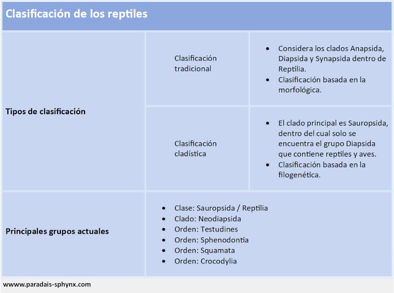 Resumen sobre la clasificación de los reptiles