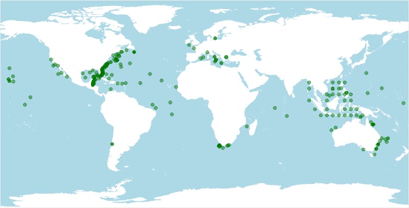 Dónde vive el pez espada, Xiphias gladius, distribución geográfica