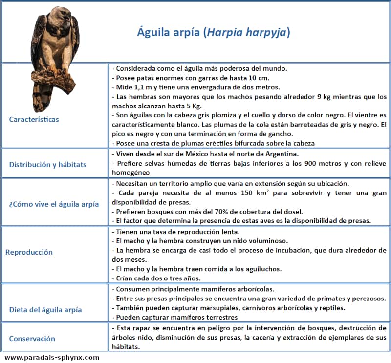 Ficha descriptiva del Águila arpía (Harpia harpyja)