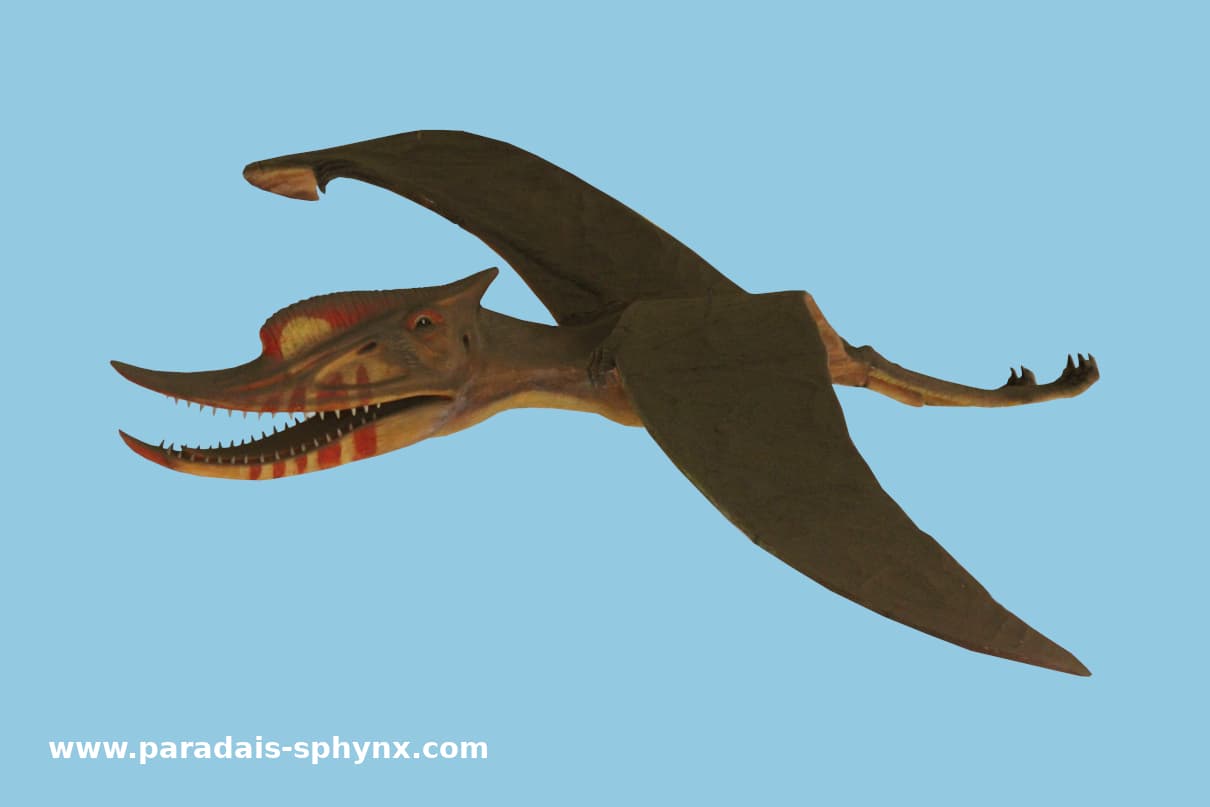 Pterosaurios (Pterosauria), los reptiles voladores