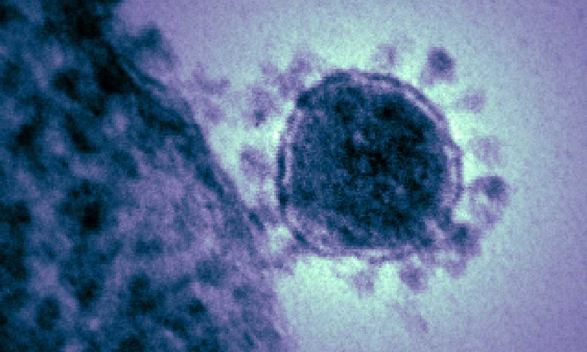 Coronavirus en China ¡Una nueva amenaza global!